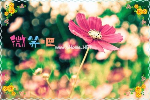 清明节上坟的说说 朋友圈上坟的心情说说24句