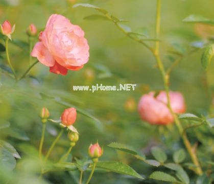 六月最后一天心情说说 2021六月最后一天唯美说说