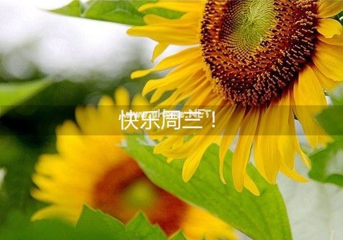 关于周三的心情说说 星期三发个朋友圈说说37句