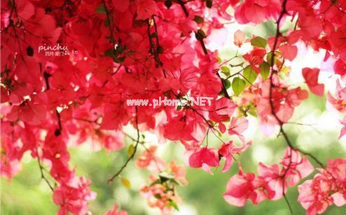 描写元宵节的好句子 元宵节开心的祝福短句子