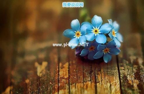 很暖很治愈的短句 特别暖心的句子29句