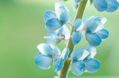 中秋节美好祝愿的简短句子32句