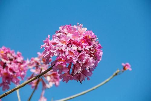 适合夏天的短句说说 夏天快来的说说心情