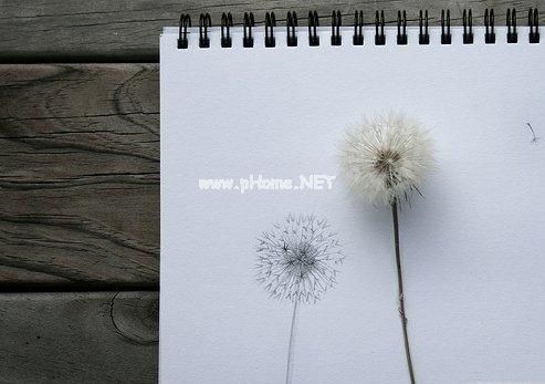 教师节自己发朋友圈的句子27句