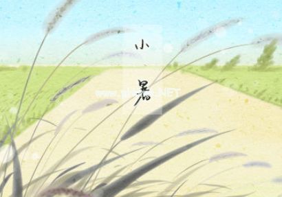 2023小暑节气微信说说大全 小暑说说唯美好听