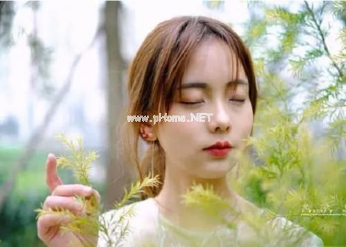 美到窒息的励志短句