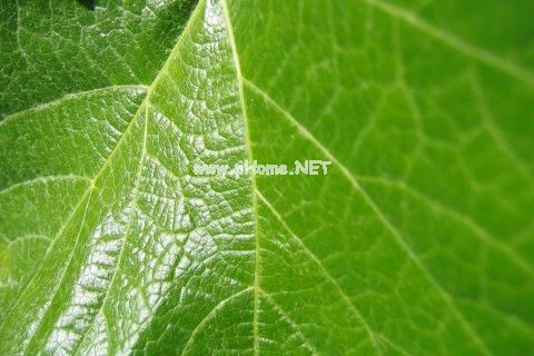 关于停电的搞笑说说 停电了的幽默说说
