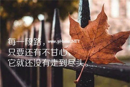 高三学习口号