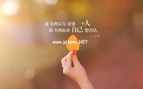 说说简单气质一句话发朋友圈