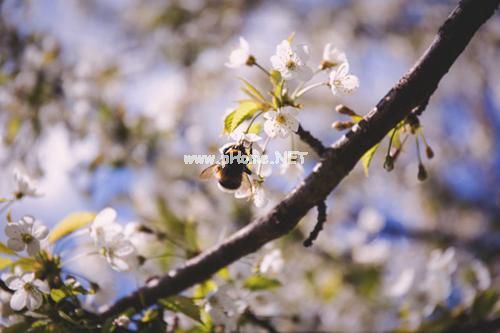 小文艺短句子 森林文艺句子29句