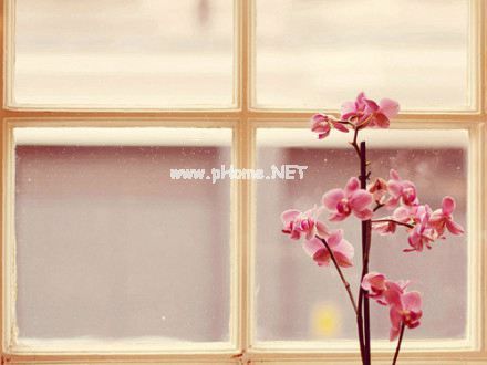 关于十月的句子发朋友圈的句子15句