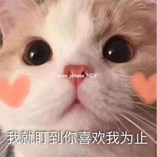 撩男人的说说大全合集31句