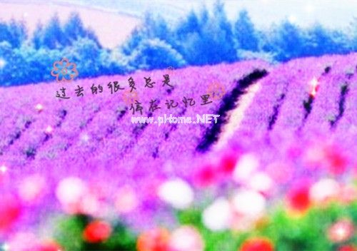 写给2021年的自己说说