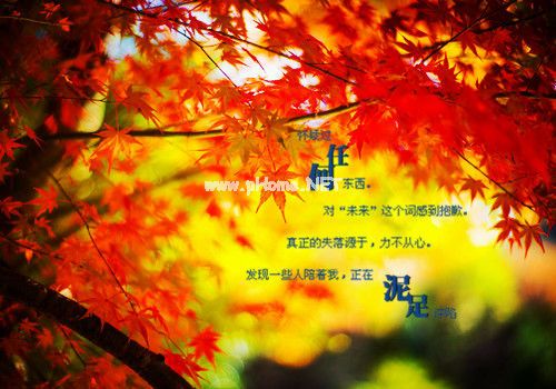 致2023的自己的一句话 2023想对自己说的话