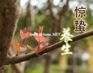 2021惊蛰简短祝福语说说 惊蛰时节最暖心的微信祝福语