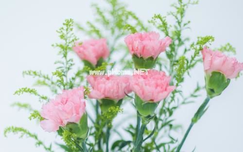 2021朋友圈适合的说说