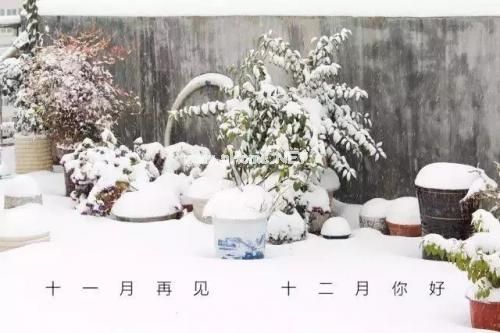 十二月你好简短说说16句