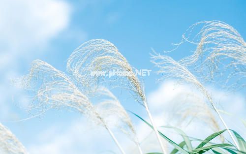 个性2021朋友圈说说