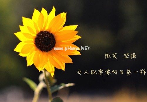 努力说说致自己的话 努力说说很现实的说说46句