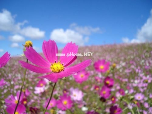 情人节发朋友圈短句