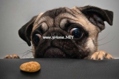春天的说说心情短语 关于春天心情的说说39句