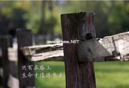 充满阳光的句子 阳光正好,心情好的句子