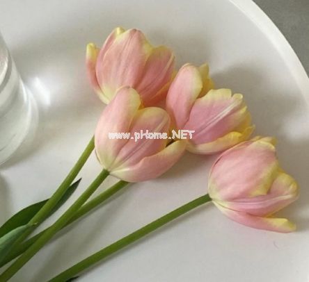 周末跟朋友吃美食的短句 周末聚会朋友圈说说集锦23句
