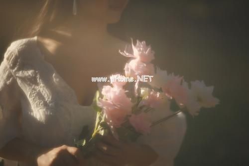 精选结婚纪念日感悟的句子 关于结婚纪念日的句子大全