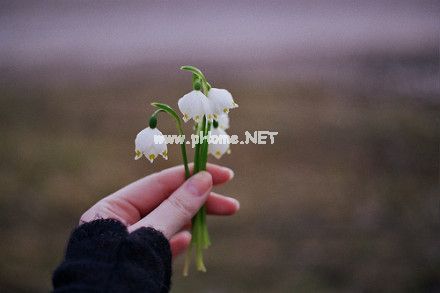 当你看清一个人的说说25句
