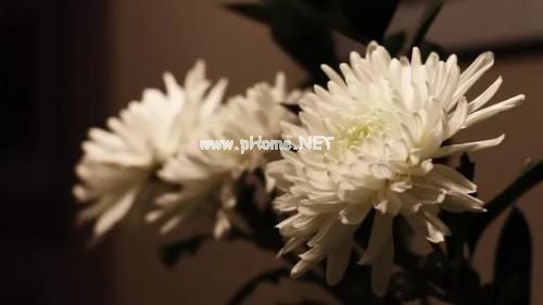 清明节说说大全39句