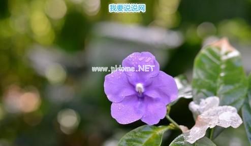 最打动人心的晚安句子 晚安绝美句子