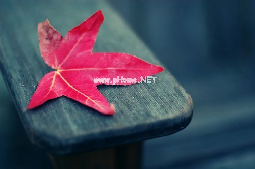 表达心情的短语 对不起，再也找不回原来的自己