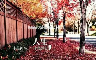 QQ空间悲伤的短语