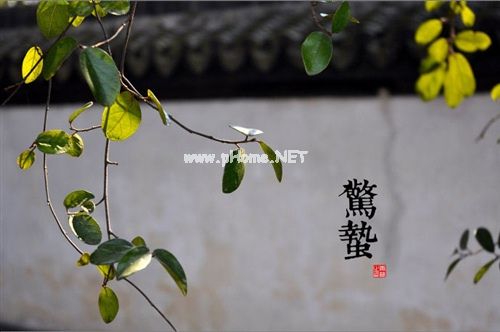 适合惊蛰节气发的朋友圈说说