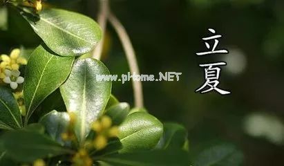 立夏来了的心情说说21句