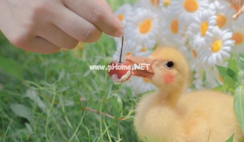 有吸引力的朋友圈说书 发一条有深度的朋友圈精选85句