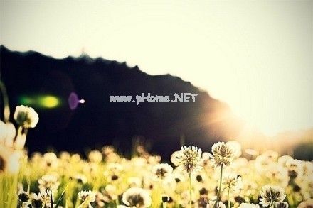童年回忆短句 童年总是最美好的童年总是难忘的