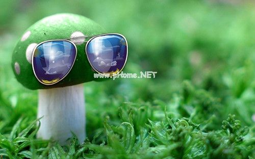 鼾声吵得睡不着的说说