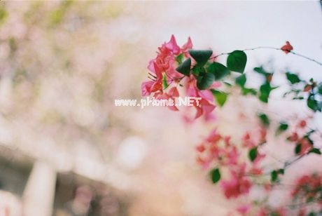 心情不美丽的说说21句