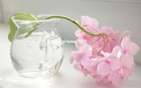 抖音经典的一句话语录 抖音热门情感语录25句