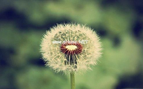 适合中秋节发的朋友圈句子23句