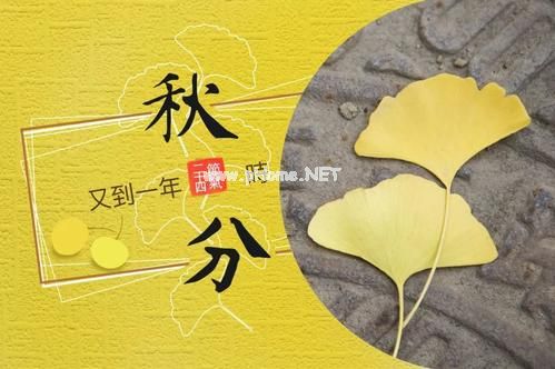 适合秋分发的说说