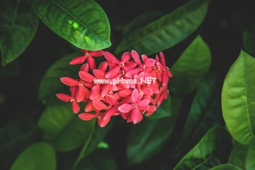 表达自信阳光的句子 阳光美丽心的说说短句子32句