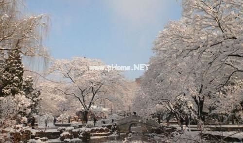 下雪天最深情的说说29句