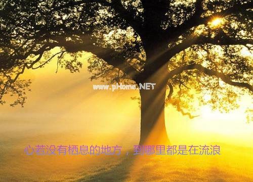 关于想念爸爸的简单说说心情短语