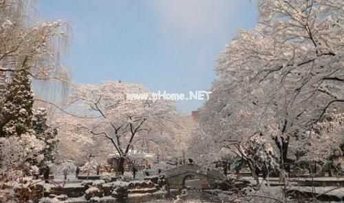 雪景发朋友圈配一句话 下雪朋友圈怎么配文字