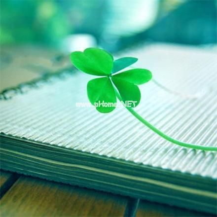 心情焦虑症说说 即使你是孤身一人，我也害怕别人把你抢走