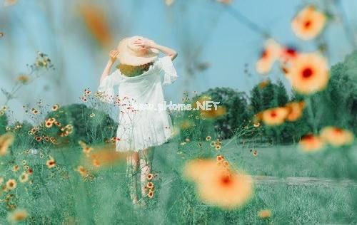 感恩节个性说说 感恩节文案怎么写