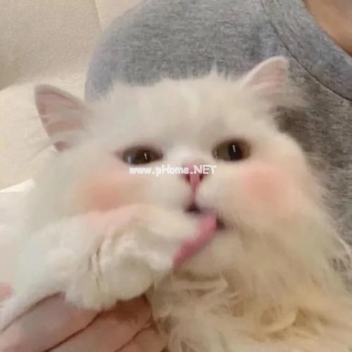 说说简单气质一句话暖暖的说说40句
