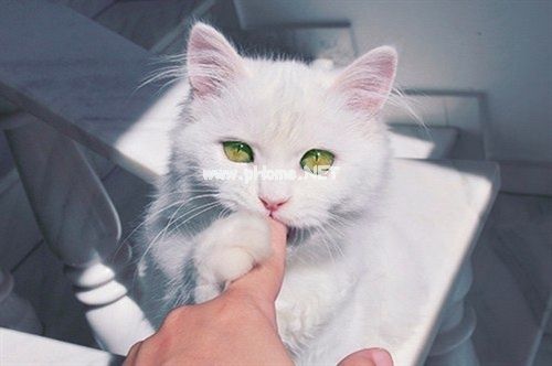 深夜难入眠的心情说说29句